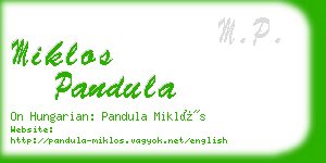 miklos pandula business card